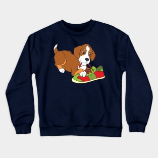 Bernese Mountain Dog Puppy Crewneck Sweatshirt